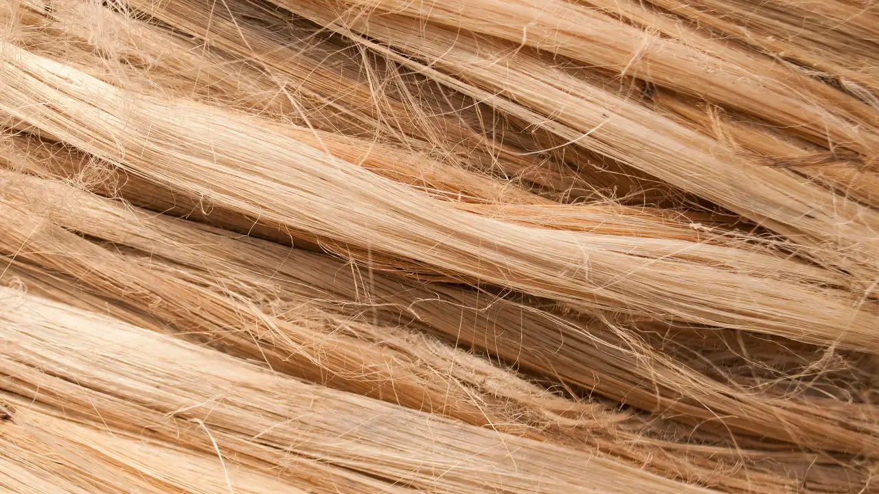 Чого уникати (FAQ-помилки)