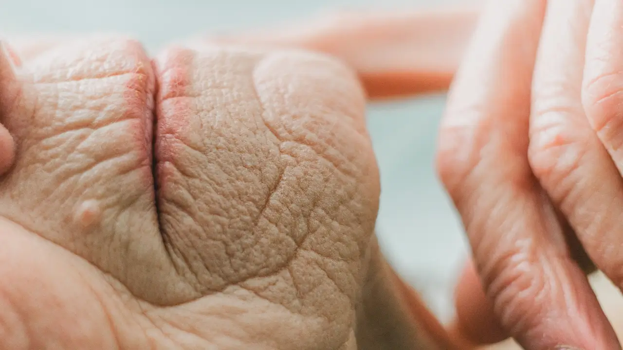 Домашні маски, які справді розгладжують глибокі зморшки мої перевірені рецепти