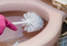 Ефективний народний засіб для чищення унітазу без хімії мій досвід