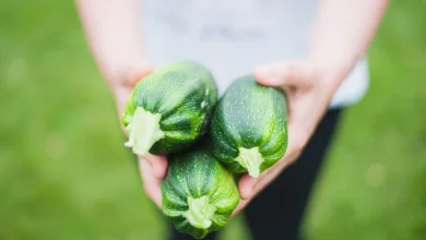 Як заморозити кабачки правильно прості способи, поради та помилки, яких варто уникати